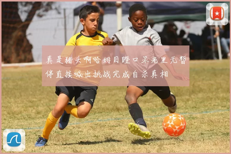真是猪头啊哈姆目瞪口呆老里无暂停直接喊出挑战完成自杀真相